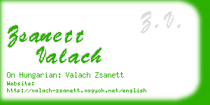 zsanett valach business card